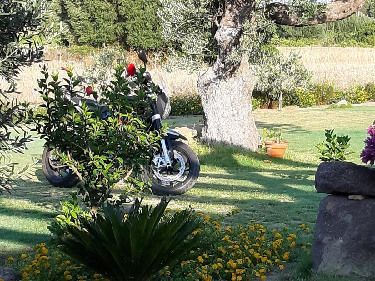 Is Solinas Masainas